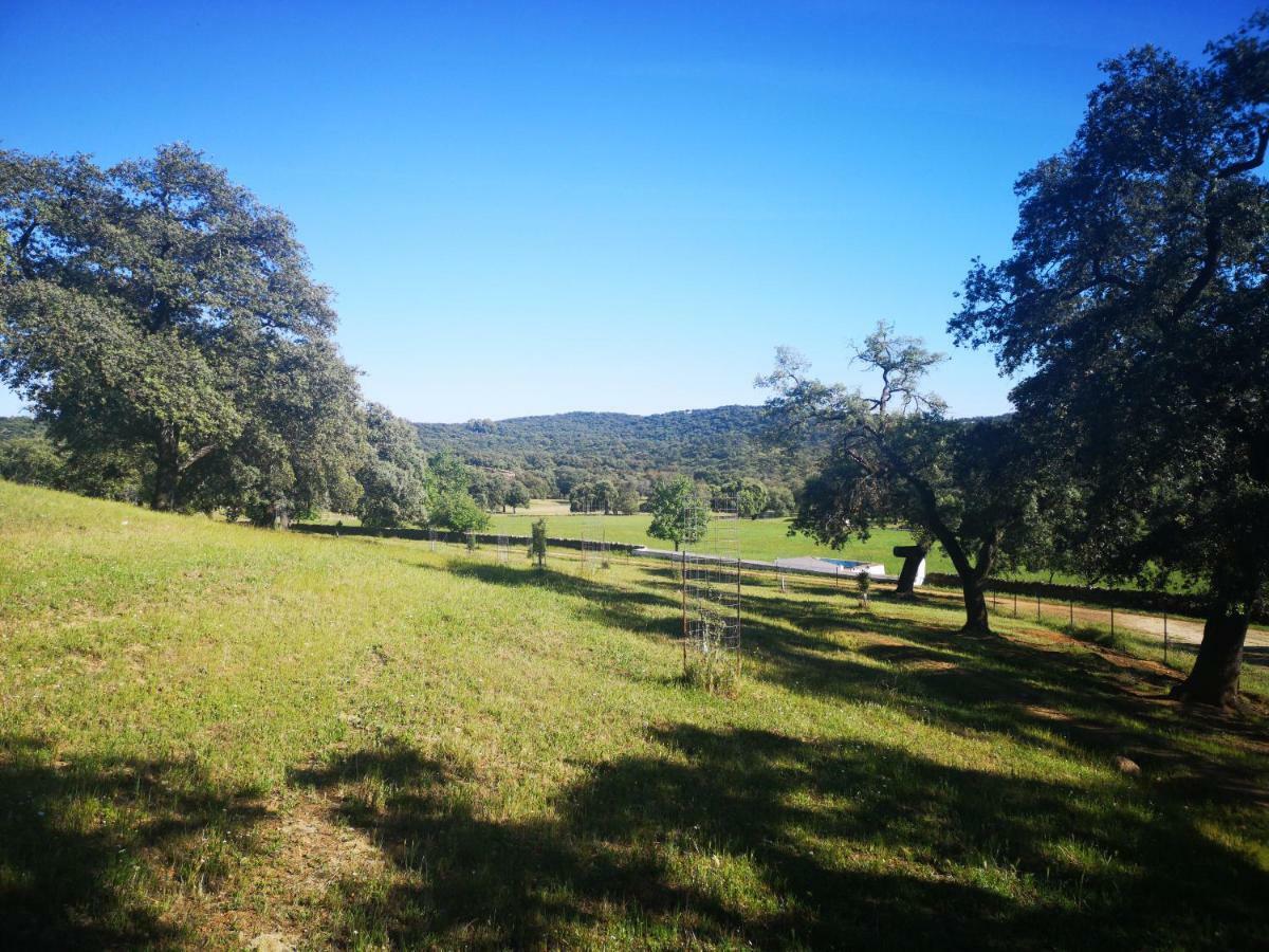 Casa Rural La Dehesilla กาซาญา เดลา เซียร์รา ภายนอก รูปภาพ